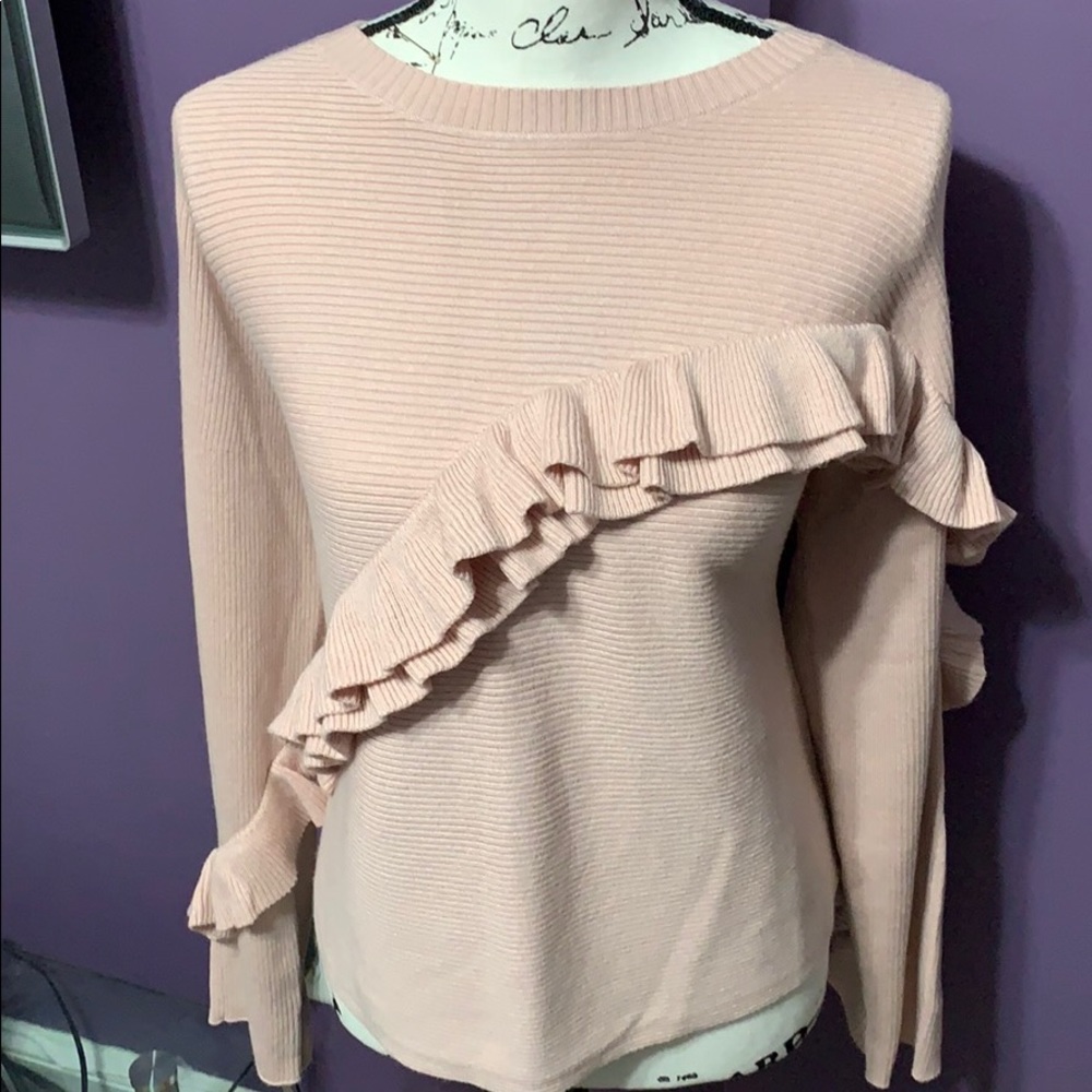 Ann Taylor Ruffle Sweater - Picture 3 of 4